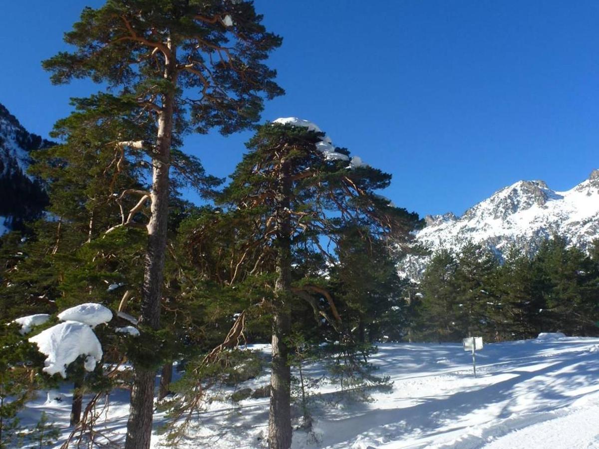 Appartement T2 Bis Cauterets - 50M Telecabine Et Thermes - 4/6 Pers - Parking Gratuit - Fr-1-234-300 ภายนอก รูปภาพ